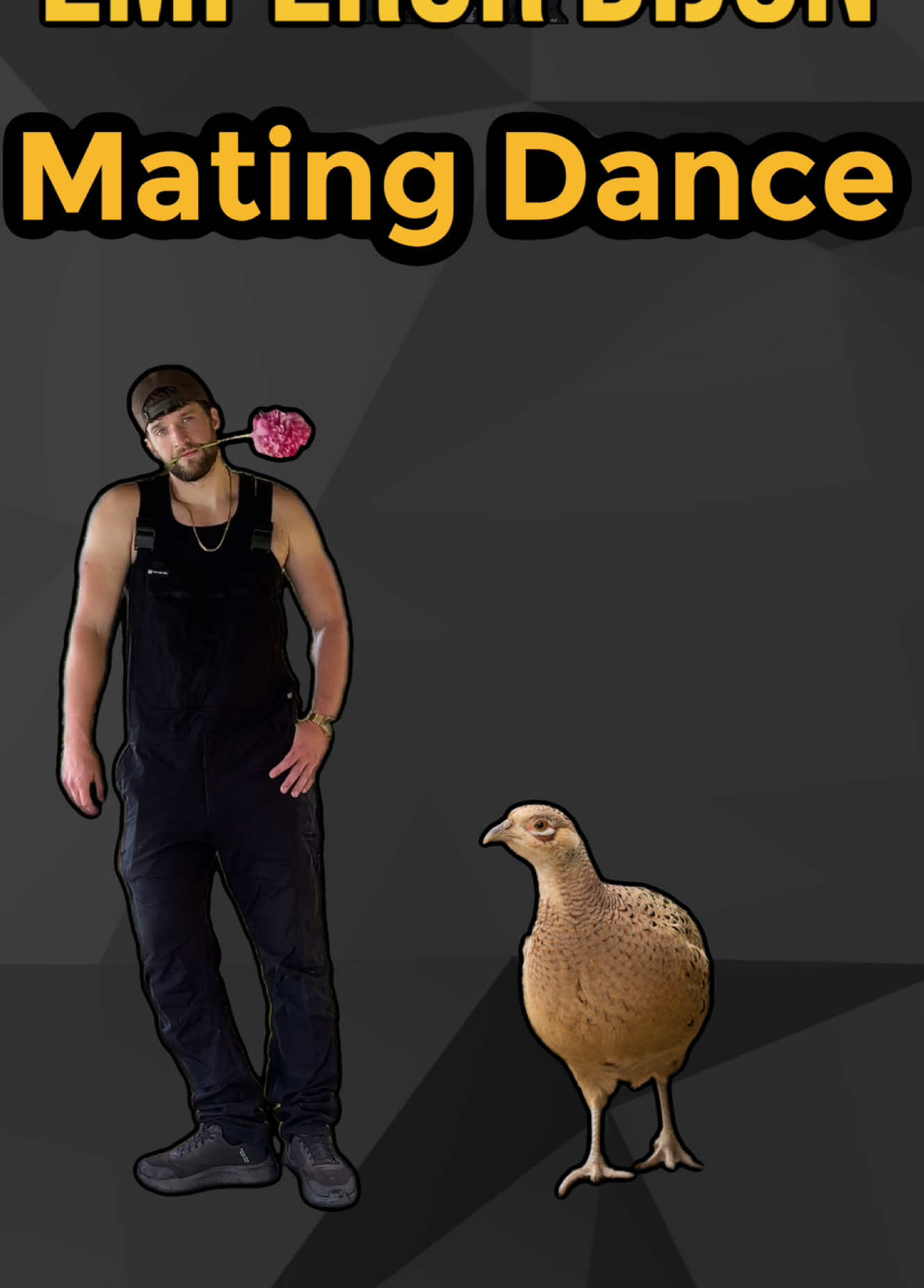 A post by @uncle_dijon on TikTok caption: The Pheasant Mating Dance Clip via Viralhog #haha #laugh #comedу #viral #jokes 