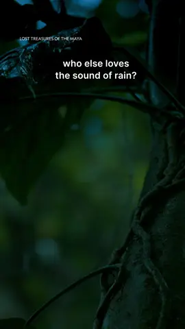 A post by @natgeotv on TikTok caption: Take a rain break.