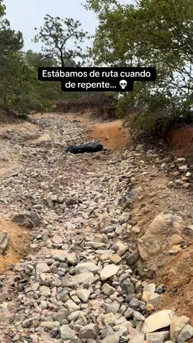 A post by @valeriavp52 on TikTok caption: Ustedes que hubieran hecho? 😰 #rutas4x4 #rutas #rzrlife #fyppppppppppppppppppppppp #fypシ゚viral 