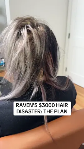 A post by @alfredo_lewis on TikTok caption: RAVEN’S $3000 HAIR DISASTER: THE PLAN. Wish us luck. We are gonna need it @ravengriim #bleach #gonewrong #fypシ #hairtok #hairgonewrong #chemicalcut 
