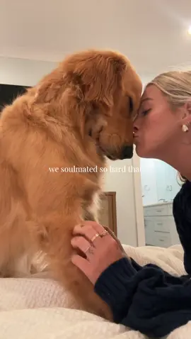 A post by @brookeerobertss on TikTok caption: My best bud🤎🐾 @Toaster🤎 