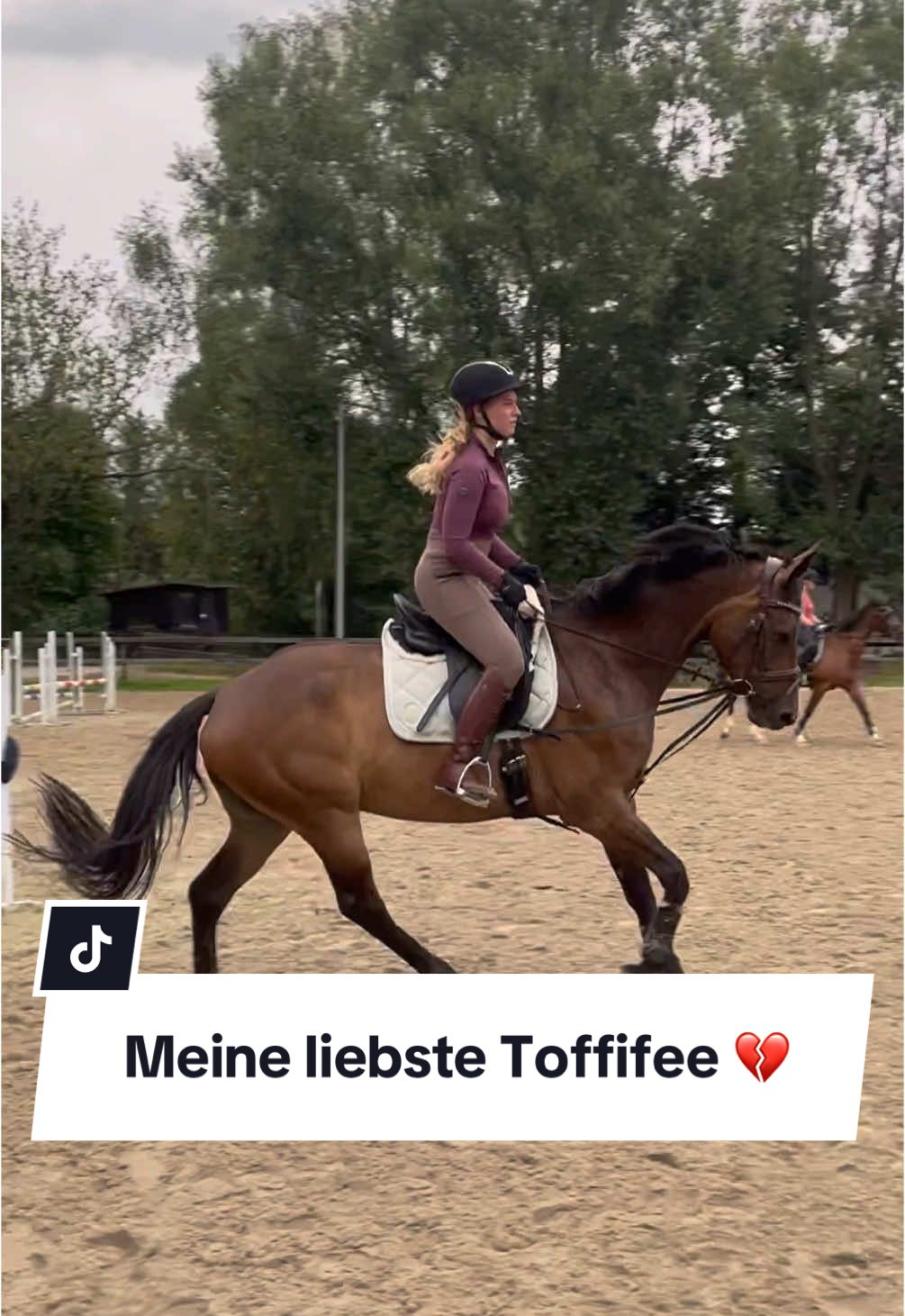 A post by @franziundfleur on TikTok caption: Hab heute Geburtstag und wünsche mir dass ihr das Video viral gehen lasst 😂🫶🏻 Toffifee war einfach ein Engel 🥹 Mit gerade mal 6, wenig geritten. Und ich hab ihr so viel zugemutet 😅 Aber naja, wir fangen alle mal an. Wünschte nur, sie wäre noch an meiner Seite 🥲🐴 IG: franziskaelea  #jungpferd #wiedereinsteigerreiter #wiedereinstieg #dressurpferd #totilas #franziundfleur #toffifeepferd #franziskaelea #pferdeliebe 