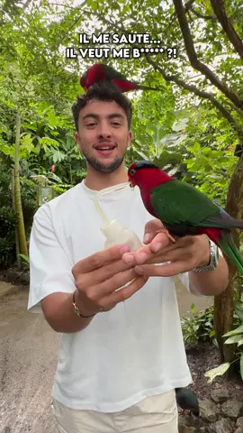 A post by @monkeydinox on TikTok caption: c’était incroyable #inox #inoxtag #vlog