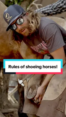 A post by @dalebrisby90 on TikTok caption: You Ain’t No Horse Shoer Ol Son