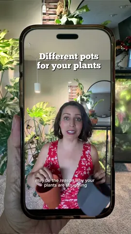 A post by @plantswithkrystal on TikTok caption: Whats your Go-to for plant pots? #plantpots #planthelp 