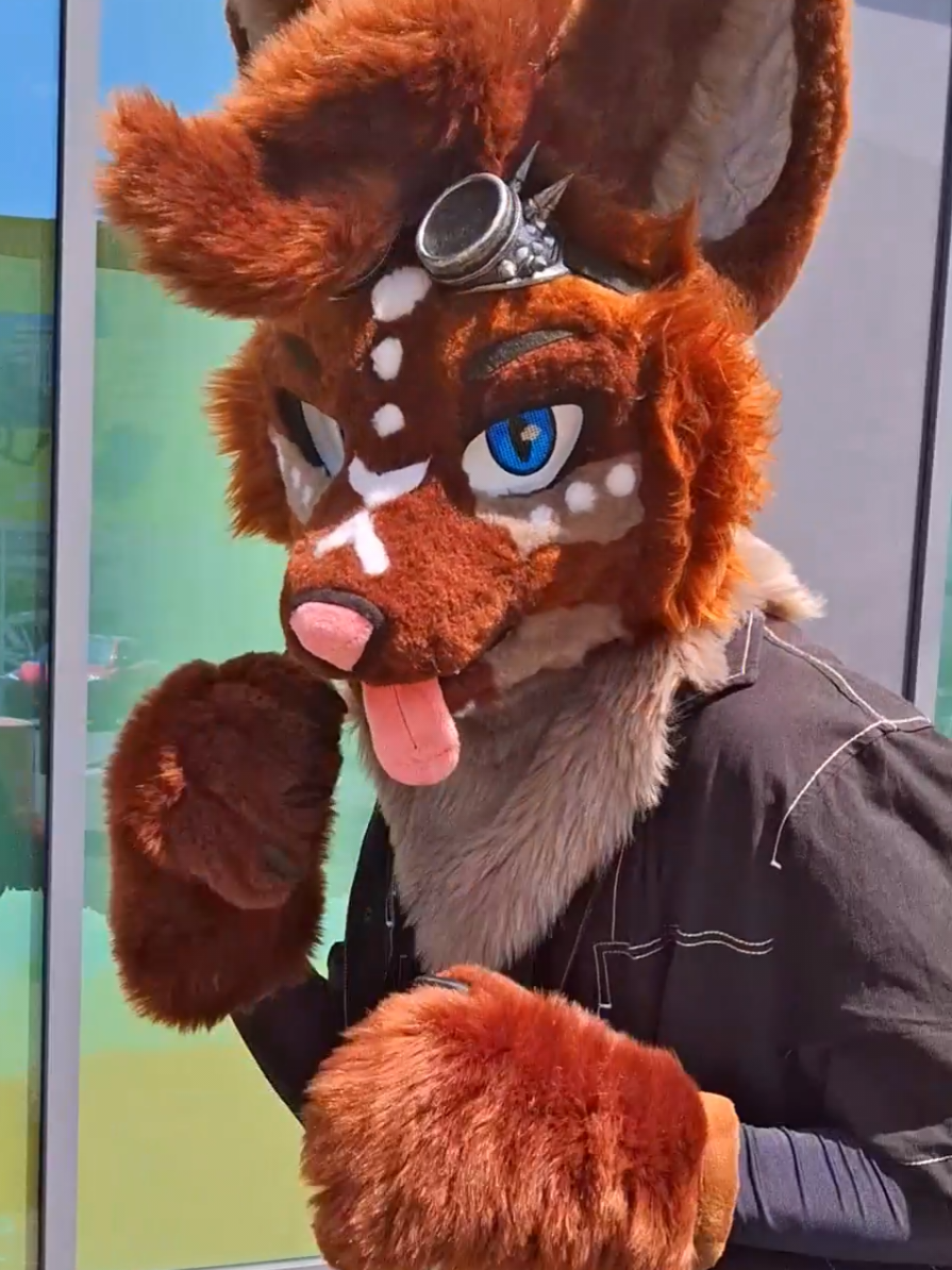 A post by @hyroe on TikTok caption: be aware of my punches :0 📷 : @Rexxou 