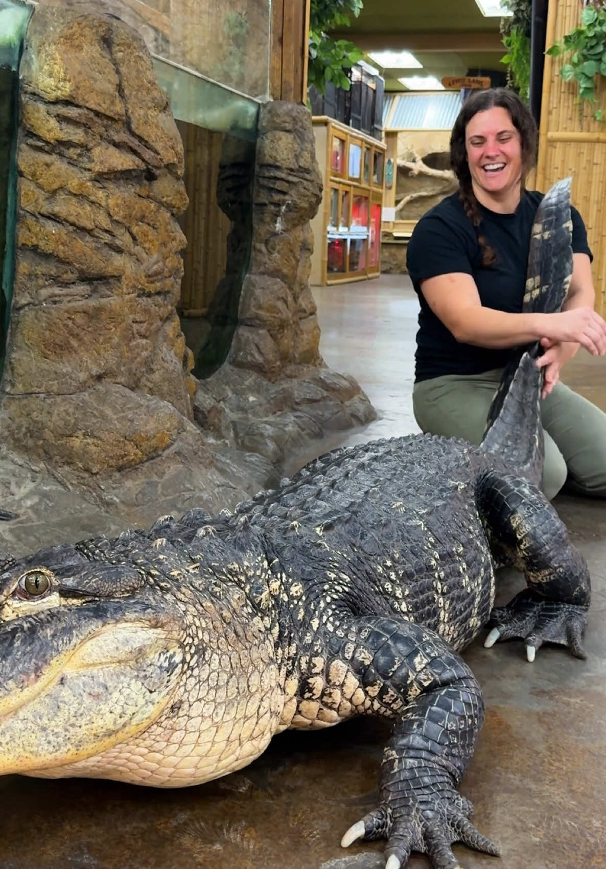 A post by @thereptilezoo on TikTok caption: GATOR COMING THROUGH!!😳 Just another day at the office! quality playtime with (one of) my favorite gators! 🐊💚 
