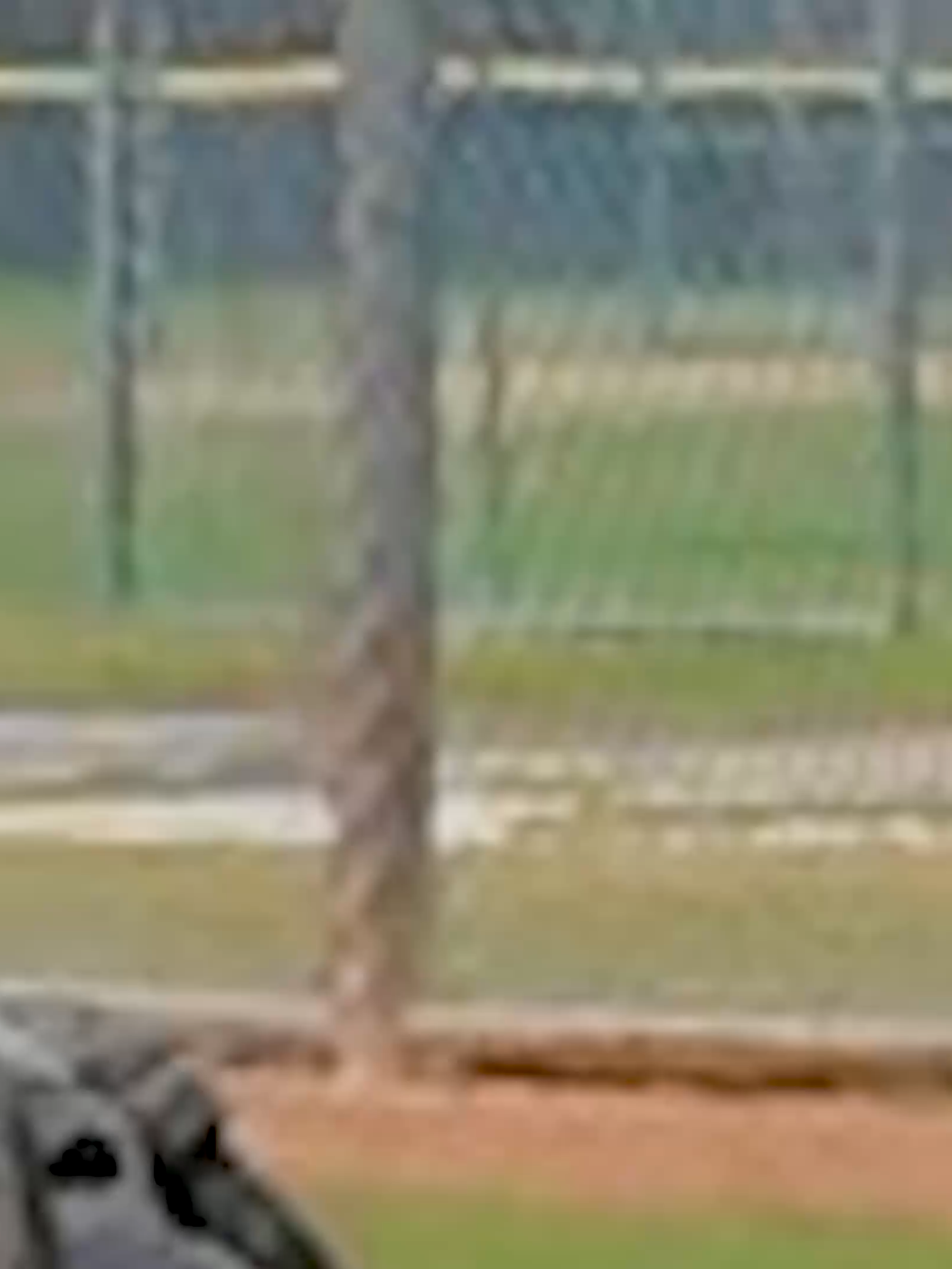 A post by @catchingmadesimple on TikTok caption: Steal This Catching Routine (Built for HS Coaches & Players) #baseball #softball #catchers #catcherdrills #pregameroutine