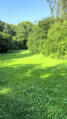 A post by @mari23079 on TikTok caption: #england #romania🇷🇴 #natural@Luci 