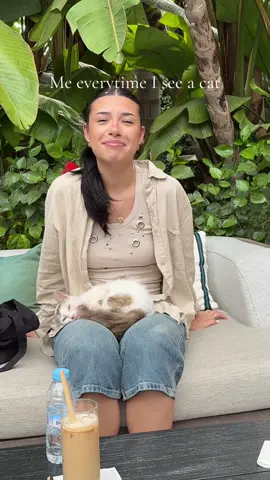 A post by @ferchugimenez on TikTok caption: Cats are my everything 