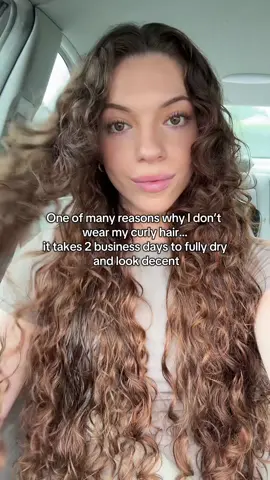 A post by @danielleathena on TikTok caption: Why does it take so long to dry😭#curlyhair #curlyhairproducts #curls #naturalhair #hair #hairtok 