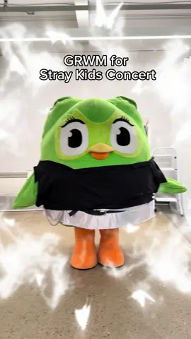 A post by @duolingo on TikTok caption: y'all think they'll notice me? #StrayKids #스트레이키즈 #duolingo 