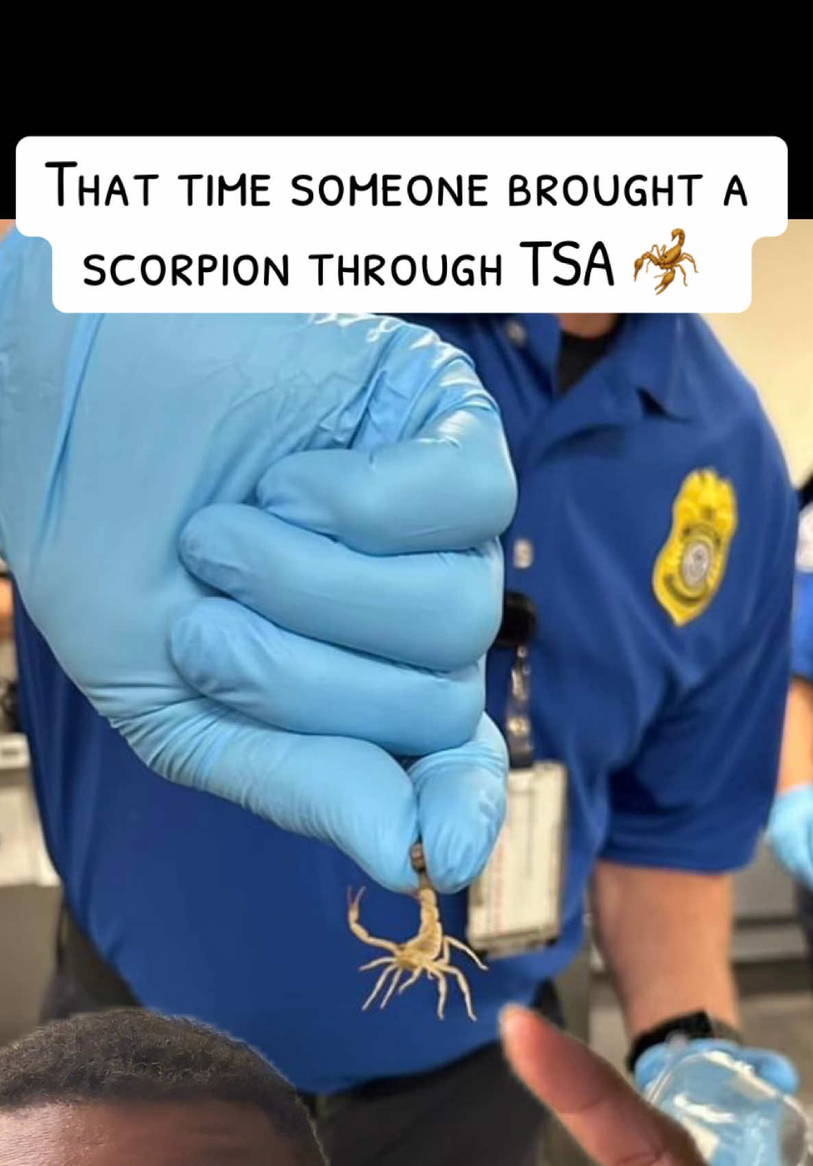 A post by @travelwiththeharmony on TikTok caption: Cleaning out my drafts and noticed I never posted this. Someone brought a scorpion through TSA… 😭  #FYP #greenscreen 