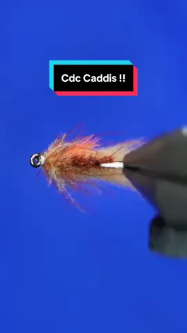 A post by @tiesflies on TikTok caption: I dropped this one in my sprite trying to clean it up so I switched it out at the end 😭 Cdc Caddis Hook: Ahrex FW503 size 12 Thread: TheFlySmith 14/0 traditional waxed  Body, wing, collar: Fulling mill cdc Tools: TheFlySmith  #TheFlySmith  #flytying #magpiematerials #magpieturkeybiots #magpiefinebeaverdubbing #whitingfarms #naturesspiritflytying #lidrig #fly #flytyingjunkie #flytyingtutorial #flytyingaddict #flytok #satisfying #flytyingnation #fyp #harelinedubbin  #fishing #flyfishing #pescamosca #Upavon #fullingmill #bespoke
