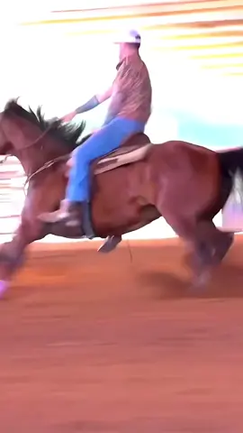 A post by @matt_mathews on TikTok caption: Hush Money said hold my purse 😏 @Fallon Taylor #barrelracer #horsesontiktok #horsesoftiktok 