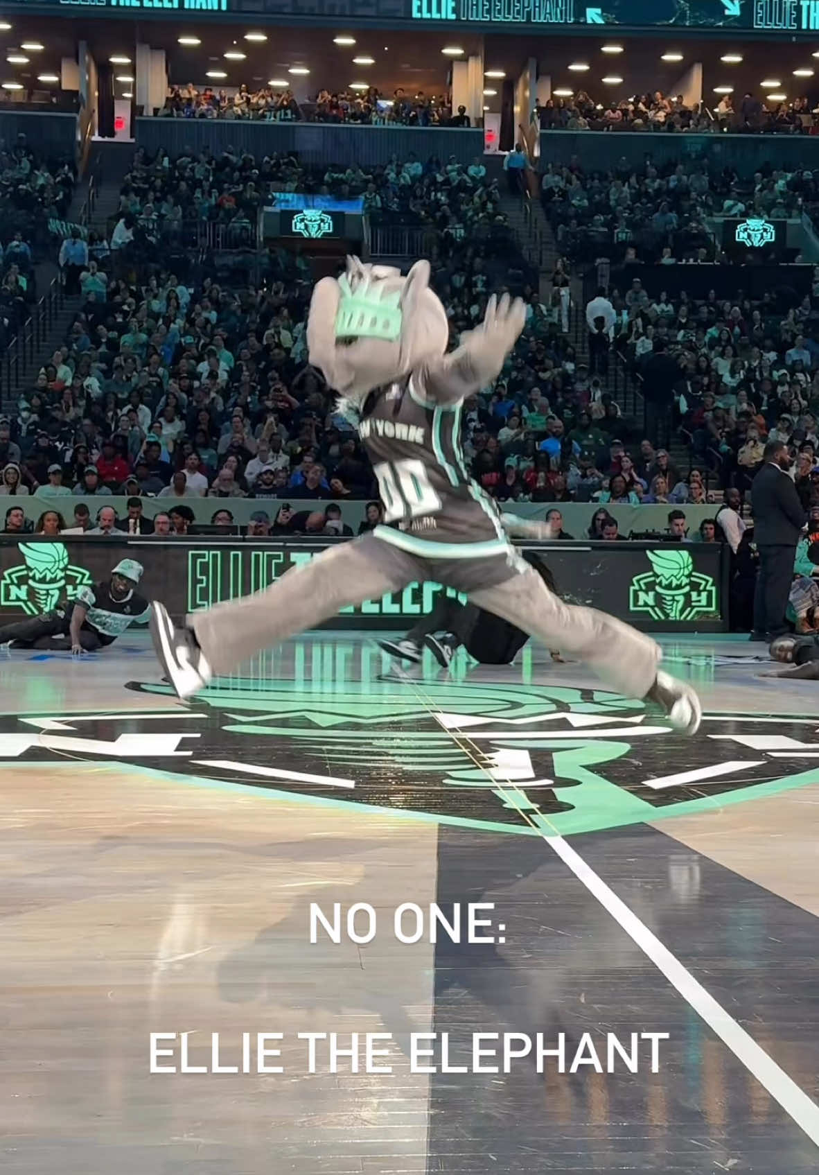 A post by @bigellieliberty on TikTok caption: It’s NATIONAL MASCOT DAY and you know I had to show out and show ‘em how the Ellie stomp is done‼️#Ellietheelephant #WNBA #nyliberty🗽🏀 @nyliberty 
