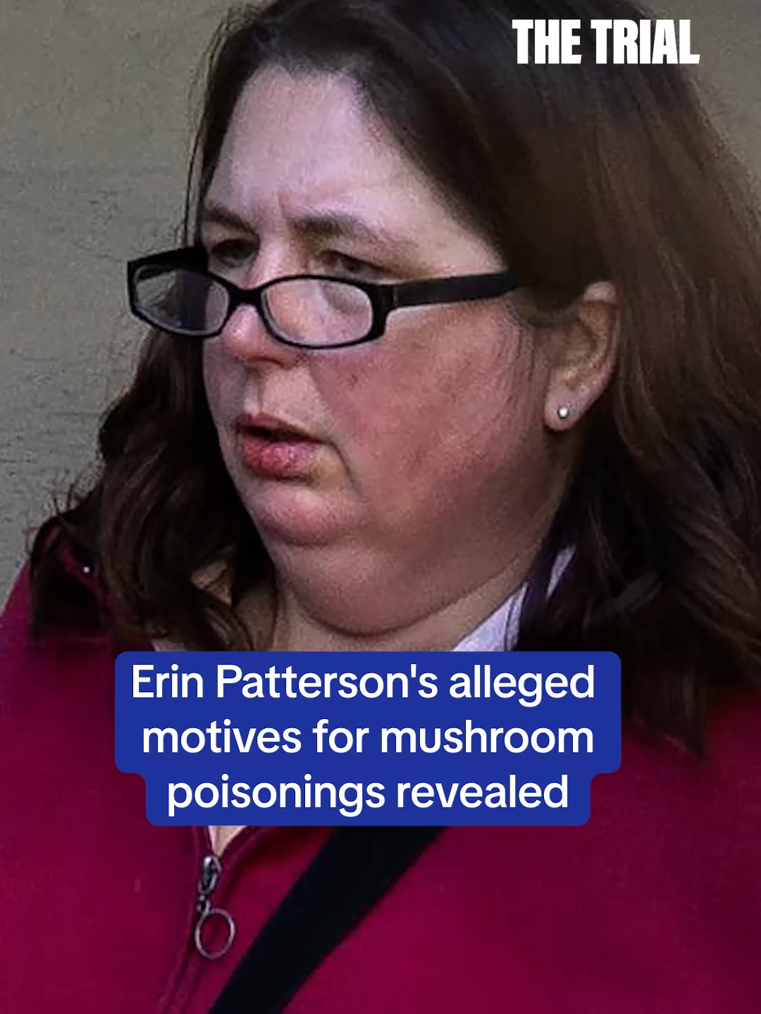 A post by @dailymailcrime on TikTok caption: Erin Patterson's alleged motives for the poisonings are revealed   #crime #crimetok #crimestories #dailymail #australia #fyp #trial