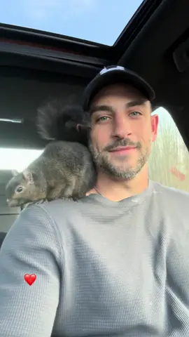 A post by @peanut_the_squirrel12 on TikTok caption: ❤️ #fyp #video #viral #fypp #insta #animal #pets #instagram #squirrel #viralvideo 