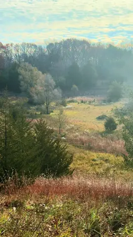 A post by @bowhunterplanet on TikTok caption: Can’t beat the view while #bowhunting #archery 