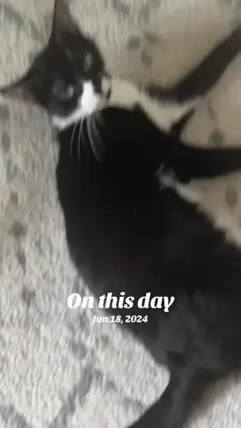 A post by @bkshedevil on TikTok caption: #onthisday 