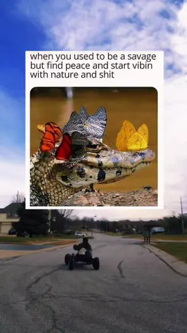 A post by @syrup.sandwitches on TikTok