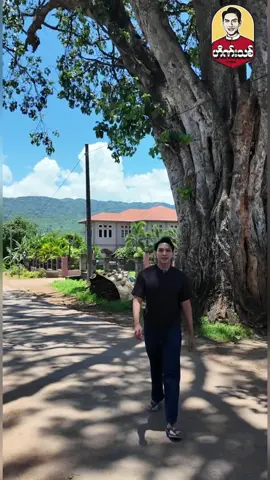 A post by @heinnthit14 on TikTok caption: June 22 ရက်နေ့ Thai Festival in Yangon ပွဲမှာတွေ့ကြမယ်နော် #thaifestivalinmyanmar 