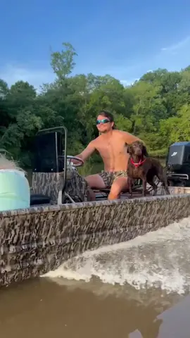 A post by @bolinsky_ on TikTok caption: New prop this week #20mphclub #duck #boat #duckboat #river #fyp #boykinspaniel 