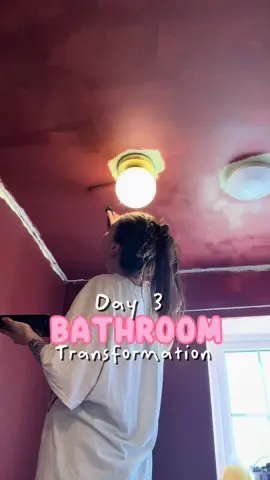 A post by @meggsfordays on TikTok caption: I’m renovating my downstairs bathroom, again! This is day three of the five part series! I left you hanging with the wall colour, and yes it’s still quite dark but have no fear I have a plan!! The tiles finally went in and the vanity is looking built in! We’ve achieved so much already, tomorrow we’re gonna be adding ambiance. I ask you kindly, to trust the process🤞 #renovationproject #renovation #renovationseries #bathroomrenovation #bathroominspo #bathroomremodel #renovatingourhome #tradielady #diy #transformation 