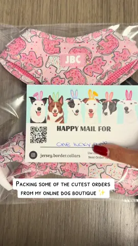 A post by @kendracoleeex on TikTok caption: Have a pup? Checkout my small biz @Jersey Border Collars 🫶🏻 #dogmom #ilovemydog #spoileddog #dogsoftiktok 