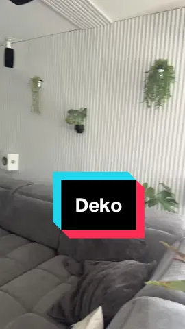 A post by @tutich_official on TikTok caption: Deko Halterungen für Blumentöpfe von Temu im Test ☘️ Anzeige / Zum Finden LG2647017 in die Temu Suchleiste eingeben #temu #blumen #pflanzen #deko 