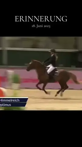A post by @naomi.himmelreich on TikTok caption: #erinnerung 