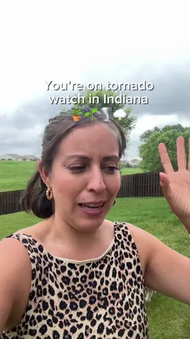 A post by @plantswithkrystal on TikTok caption: Just a normal Wednesday storm day in Indiana #plantlife 