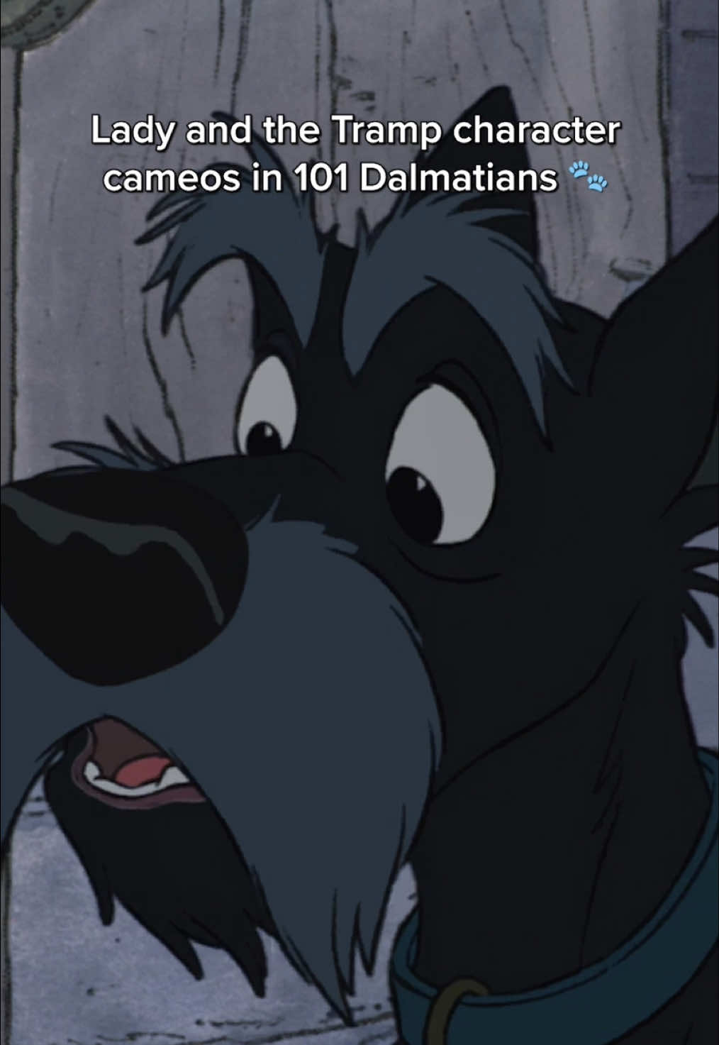 A post by @disneyanimation on TikTok caption: Peep your favorite pups in 101 Dalmatians 👀 Stream 101 Dalmatians on #DisneyPlus 