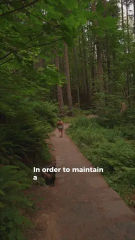 A post by @itsloganmarie on TikTok caption: I am not willing to sacrifice my sleep whatsoever, which is why I always find ways to make sure I am treating my mind and body with what it needs to achieve that. #ad Time in nature regulates my body's internal clock which is vital for maintaining healthy sleep patterns. I find that natural light exposure—especially during golden hour—supports my sleep-wake cycle. The more time outside I have, the better I feel overall!  I’ve had my @Happsy mattress for over 5 years now and continue to get quality sleep night over night. I have the peace of mind knowing that the mattress is made of organic materials that are healthier and comfier and has a lower impact on the environment with its organic cotton ♻️ See for yourself and shop with the link in my bio! 