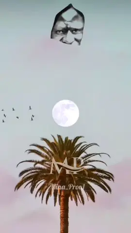 A post by @mina_proo1 on TikTok caption: #duetto con @𝕾𝖊𝖗𝖎𝖌𝖓𝖊 𝖈𝖍𝖊𝖎𝖐𝖍 