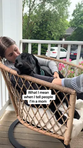 A post by @tuesdayswmorrie on TikTok caption: I’m a motha 🐶 #dog #dogs #fyp #foryou #dogtok #dogsoftiktok #funny #relatable #dogmom 