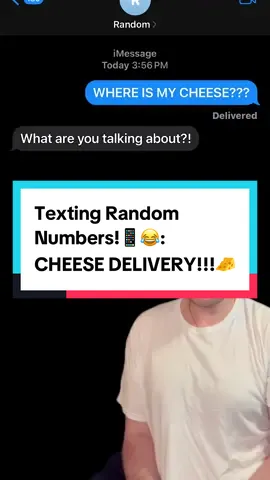 A post by @danfart on TikTok caption: Texting Random Numbers!📱😂: CHEESE DELIVERY!!!🧀 #cheese #text #prank #fyp #viral 