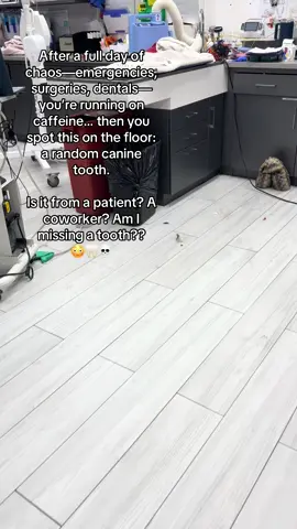 A post by @dr.b_veterinarian on TikTok caption: #VetLife #ToothOrDare #PlotTwistInTheTreatmentRoom #vettech #fyp