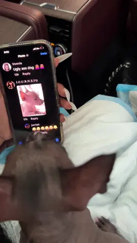 A post by @thegirljtworld on TikTok caption: Just know yall are dead wrong & he's only a baby!!! I have to protect him from yall!!!!!
