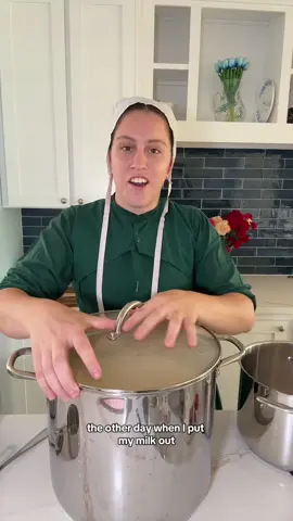 A post by @literallyjust_a_girl on TikTok caption: My Amish cookbook with 180+ recipes is available on my website in my profile ➡️
