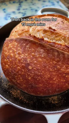 A post by @wheatculture on TikTok caption: Baking sourdough in my new bread oven! I may be retiring my roasting pans after this 🤭 #sourdoughtiktok #sourdough #sourdoughtok #sourdoughstarter #sourdoughasmr #sourdoughcrunch #sourdoughbread #wheatculture #sourdoughclub #breadoven 