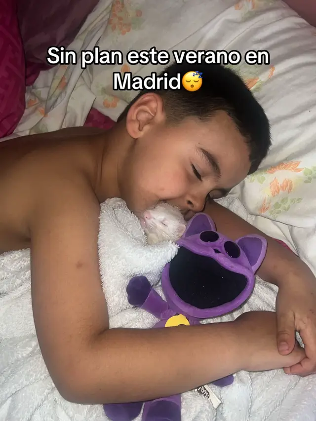 A post by @guillente on TikTok