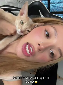 A post by @tenderlybaemusic on TikTok
