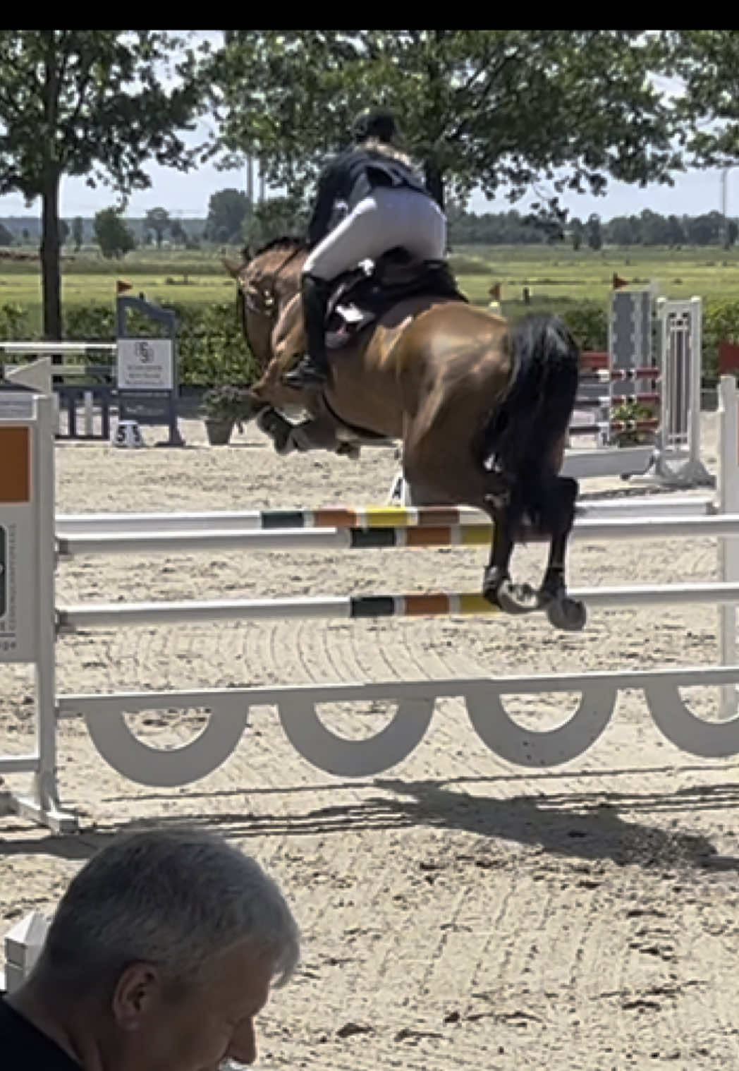 A post by @leonie.pander.official on TikTok caption: 6yo A-Banda double clear today and placed with a score of 7.8 & 8.0 ❤️#fy #fyp @doreen 