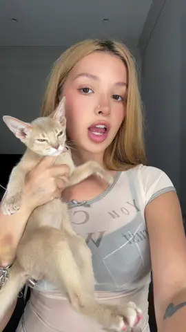A post by @tenderlybaemusic on TikTok caption: СЕГОДНЯ В 00:00 ☺️🐰🤭