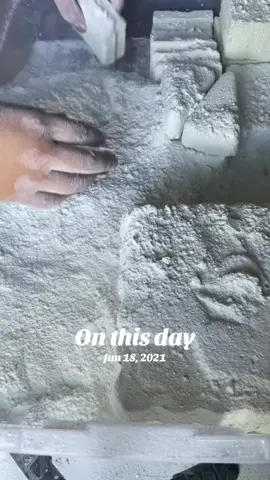 A post by @reeves.asmr on TikTok caption: #onthisday 