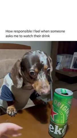 A post by @memezar on TikTok caption: I will protect this drink with my life (Pamela Bonametti via ViralHog) #Memezar #RoadTo11M 