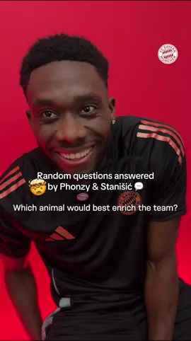A post by @fcbayern on TikTok caption: How to answer random questions? 🤯 Phonzy and Stani nailed this! 👏🤣 #FCBayern #MiaSanMia 