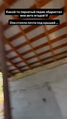 A post by @mosha_moshosha on TikTok