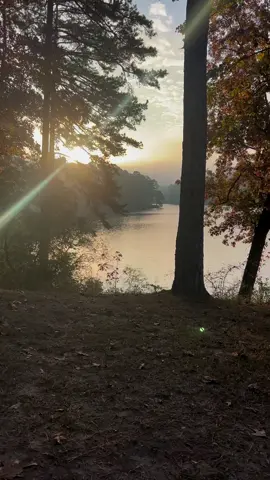 A post by @colehairlesscat on TikTok caption: Appreciating yesterday to feel gratitude for tomorrow and whole today. 